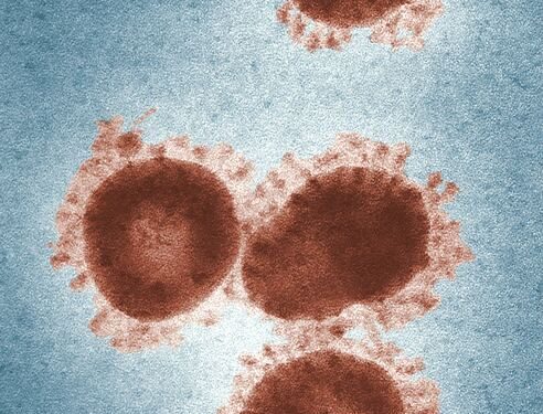 US indices to historical highs despite coronavirus death toll rise above 1000