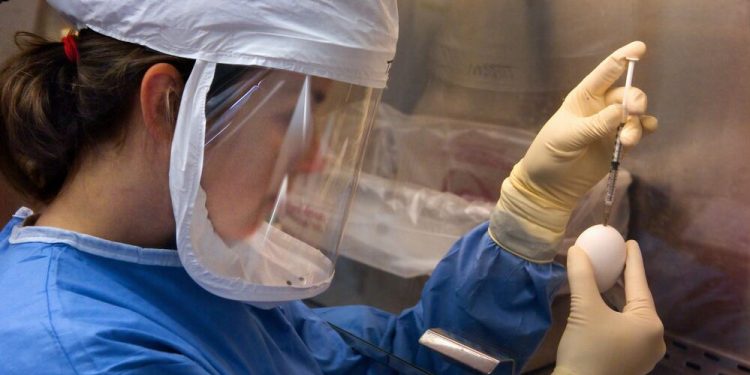 Renewed concern of coronavirus reversed recent positive market sentiment