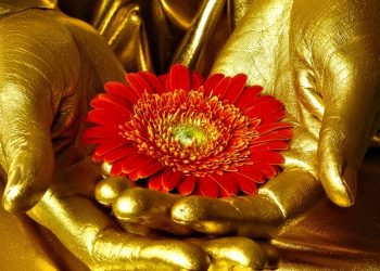 Gold started modest decline but main trend remain positive