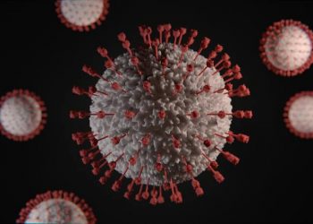 Share markets rebound slightly but uncertainty persists as coronavirus continue to soar