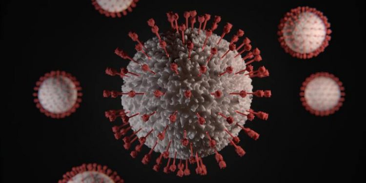 Share markets rebound slightly but uncertainty persists as coronavirus continue to soar