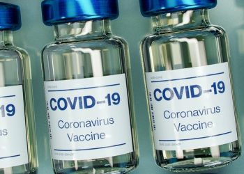 Markets buoyed by continued vaccination rollout and stimulus expectations